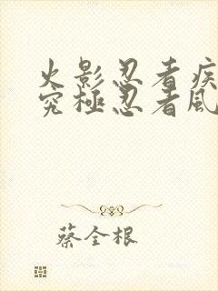 火影忍者疾风传究极忍者风暴1