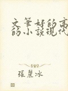 文笔好的高质量的小说现代言情推荐