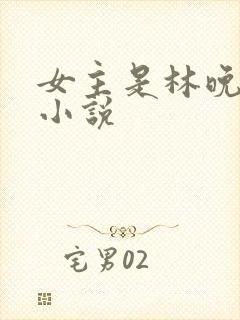 女主是林晚晚的小说