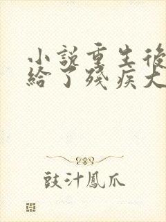 小说重生后我嫁给了残疾大佬