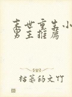 末世重生小说双男主推荐