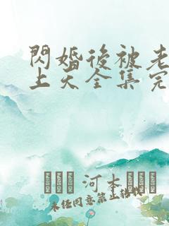 闪婚后被老公宠上天全集完整版