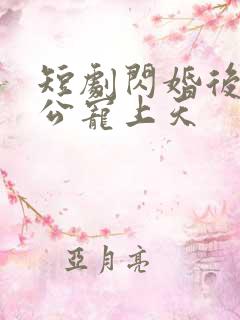 短剧闪婚后被老公宠上天