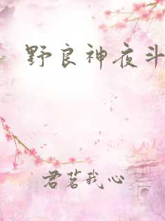 野良神夜斗台词