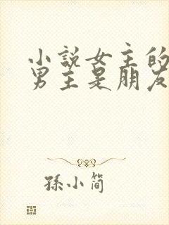 小说女主的哥和男主是朋友的