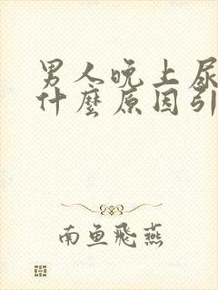 男人晚上尿多是什么原因引起的