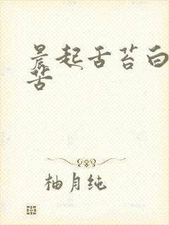 晨起舌苔白厚嘴苦