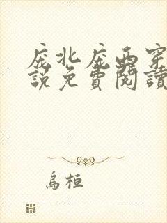 庞北庞西穿越小说免费阅读