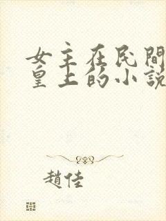 女主在民间偶遇皇上的小说