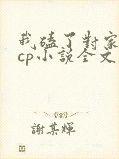 我磕了对家我的cp小说全文免费阅读