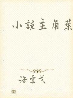 小说主角叶无缺