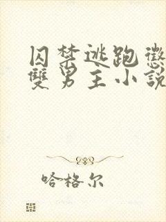 囚禁逃跑惩罚的双男主小说免费观看全文