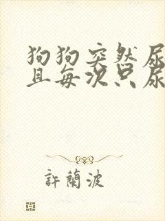 狗狗突然尿频而且每次只尿一点