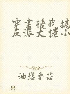 穿书后我搞到了反派大佬小说