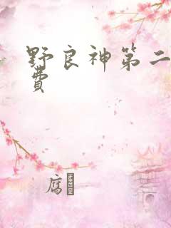 野良神第二季免费
