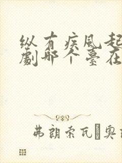 纵有疾风起电视剧哪个台在播放