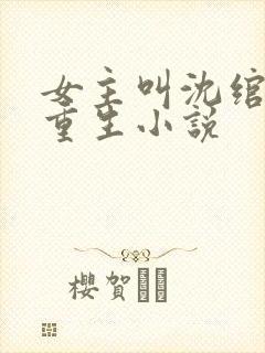 女主叫沈绾绾的重生小说