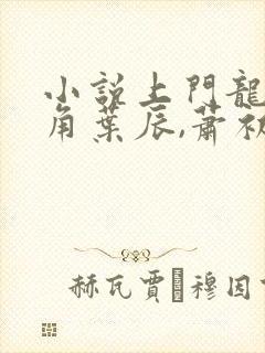 小说上门龙婿主角叶辰,萧初然