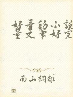 好看的小说高质量文笔好完结