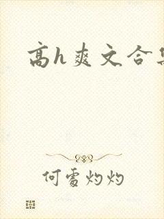 高h爽文合集