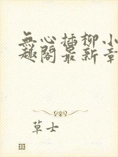 无心插柳小说笔趣阁最新章节