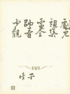 少帅电视剧在线观看全集免费完整