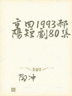 重回1993郝阳短剧80集