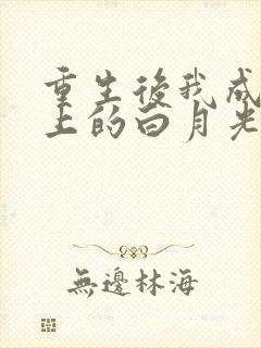 重生后我成了皇上的白月光小说