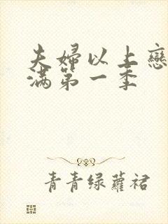 夫妇以上恋人未满第一季