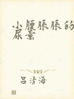 小腹胀胀的总有尿意