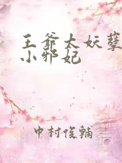 王爷太妖孽独宠小邪妃