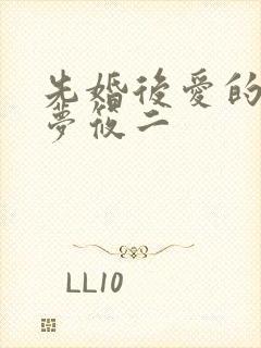 先婚后爱的小说梦筱二