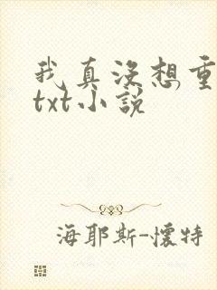 我真没想重生啊txt小说
