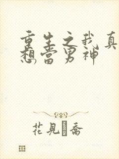 重生之我真的只想当男神