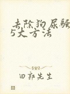 去除狗尿骚味的5大方法