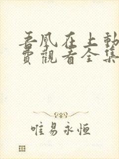 吾凰在上动漫免费观看全集完整版