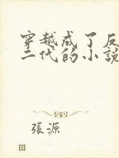 穿越成了反派富二代的小说