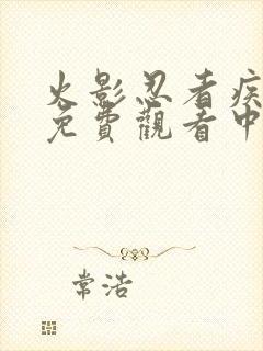 火影忍者疾风传免费观看中文版