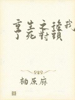 重生之后我嫁给了死对头