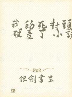 我的死对头终于破产了 小说