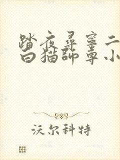 踏夜寻宁二哈和白猫师尊小说