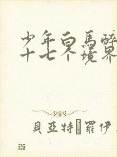 少年白马醉春风十七个境界