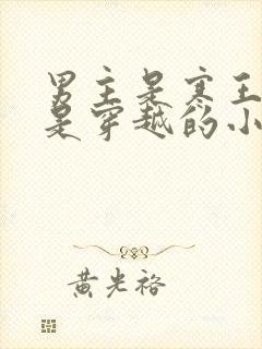 男主是寒王女主是穿越的小说