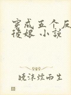 穿成五个反派的后娘 小说