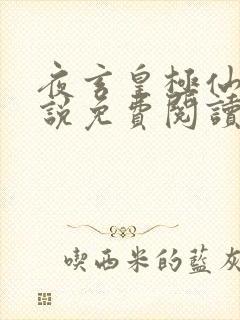 夜玄皇极仙宗小说免费阅读