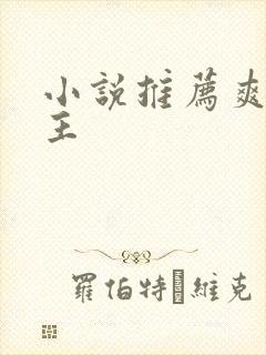 小说推荐爽文女主