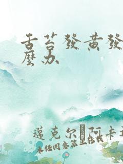 舌苔发黄发白怎么办