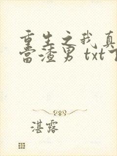 重生之我真没想当渣男 txt下载