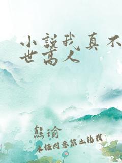 小说我真不是盖世高人