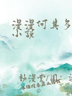 漫漫何其多其他小说